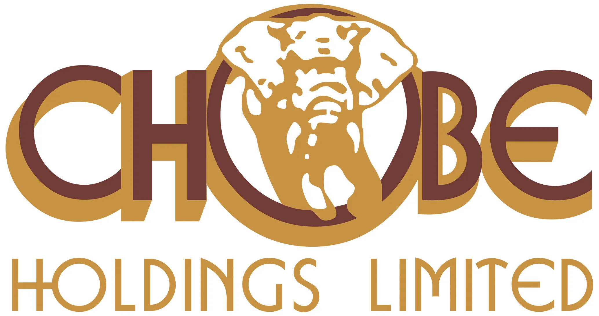 investor-relations-chobe-holdings