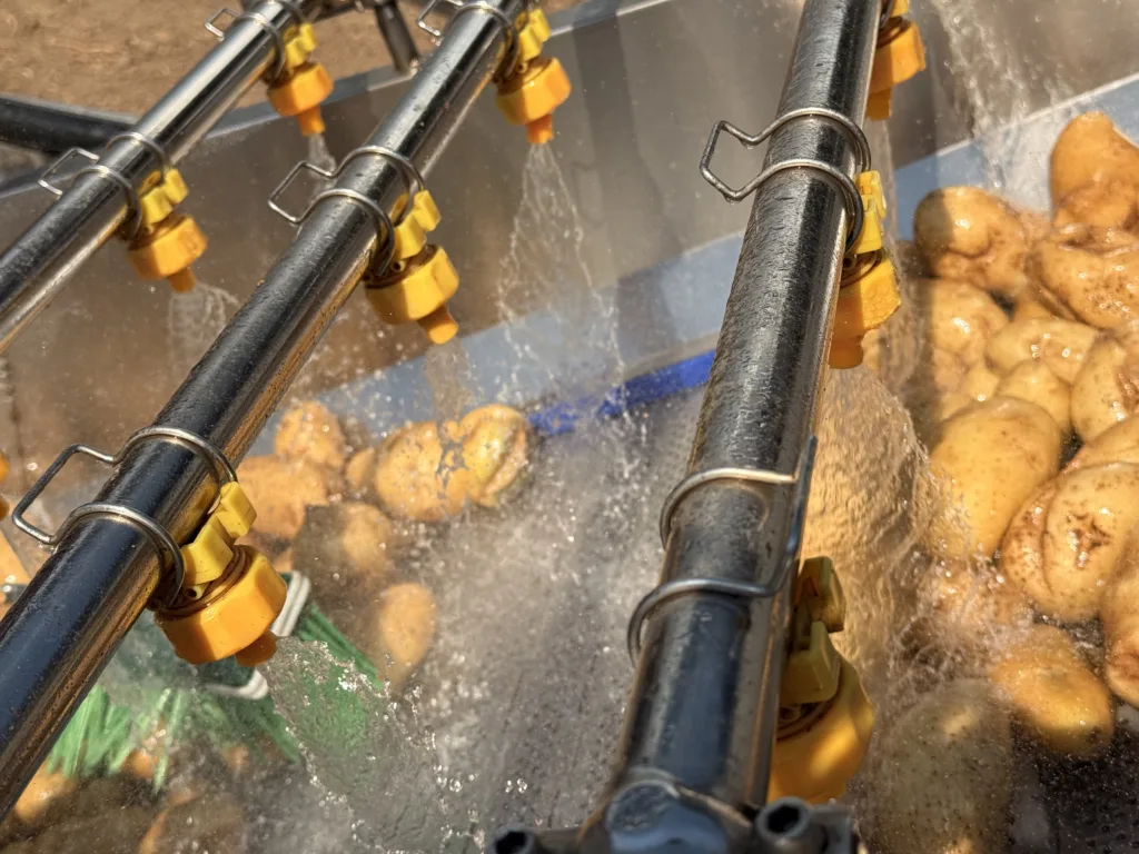Potatoes being washed at Chobe Farms
